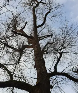 Jacquelien 01 Oosterpark